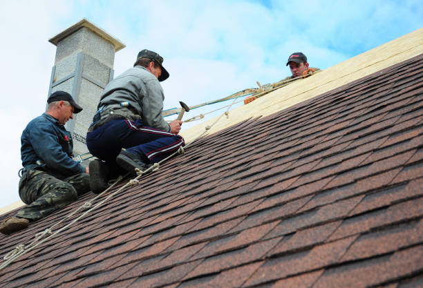 Best Roof Maintenance Services  in Dranesville, VA