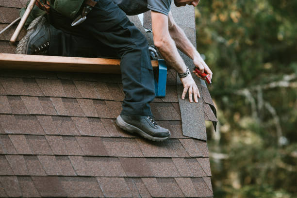 Roof Gutter Cleaning in Dranesville, VA